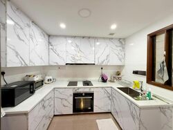Carissa Park Condominium (D17), Condominium #486398991